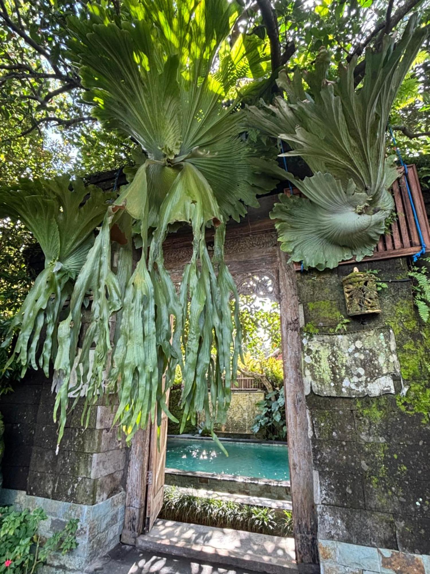 Bumbung Sari Villa Ubud Exterior foto